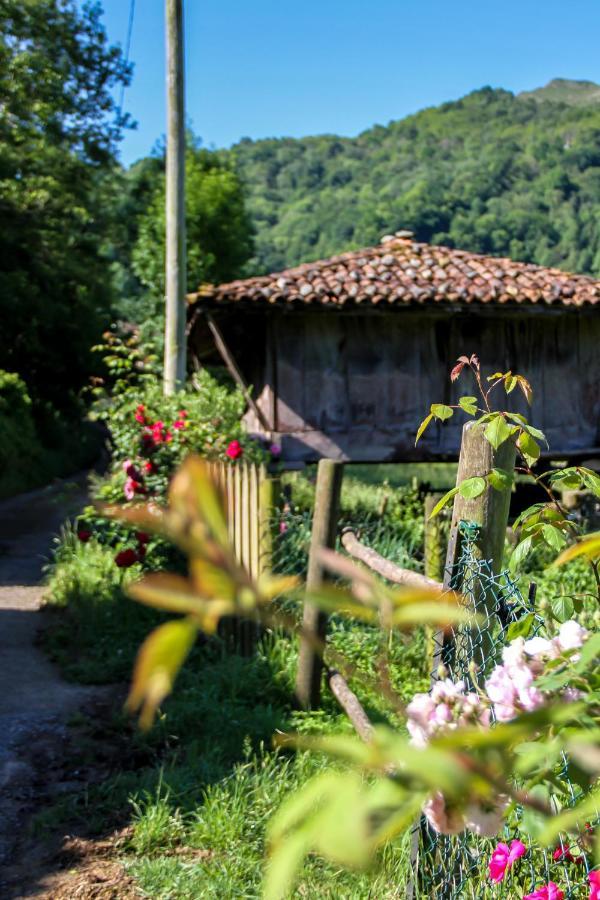 فيلا Casa Clarita Caño المظهر الخارجي الصورة