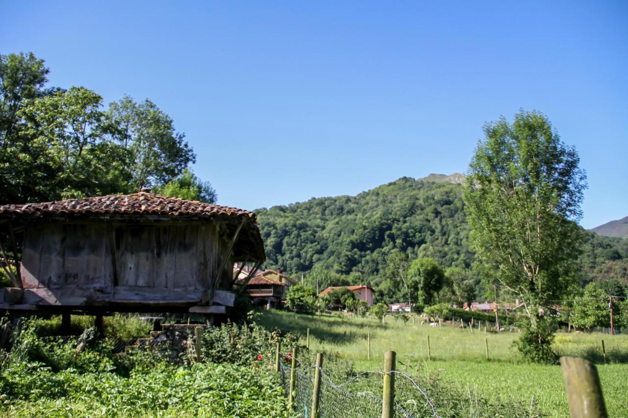فيلا Casa Clarita Caño المظهر الخارجي الصورة